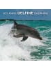 TUSHITA Kalender - Delfine/Dolphins 2026