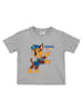 Paw Patrol 2er Pack Paw Patrol T-Shirt Oberteil Shirt kurzärmlig in blau/grau