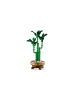 LEGO Botanical Collection Glücks-Bambus in Mehrfarbig ab 18 Jahre