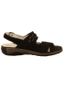 WALDLÄUFER Sandalen/Sandaletten in schwarz