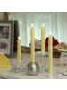 Deluxe Homeart 2x LED Stabkerzen Mia Tafelkerzen Echtwachs H: 15cm in gelb