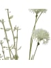 MARELIDA Deko Wildblumen Wiesenblumen in creme - H: 70cm