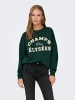 JDY Sweatshirt in Pine Grove