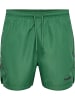 Hummel Hummel Board Kurze Hose Hmlned Wassersport Erwachsene in FOLIAGE GREEN