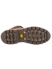 Caterpillar Caterpillar Colorado Sneaker WP in Braun