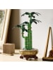 LEGO Botanical Collection Glücks-Bambus in Mehrfarbig ab 18 Jahre