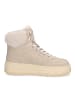 BLAUER USA Schnürboot Maribel in Taupe