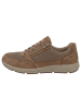 Solidus Sneaker Low in braun