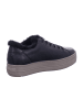 Paul Green Sneaker Low in schwarz