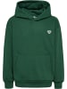 Hummel Kinder Hoodie "Loose Hoodie Bee" in Grün