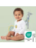 Schlummersack Bio Baby-Wickelbodys langarm 3er-Pack in Weiß