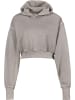 Reebok Kapuzenpullover in grey