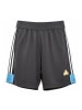 adidas Shorts NTPK House of Tiro Nations Pack in Schwarz