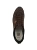 AKU Outdoorschuhe Bellamont III V-Light GTX in braun
