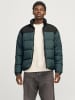 Jack & Jones Steppjacke in Magical Forest