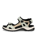 Ecco Sandalen in Grün/Beige