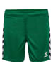 Hummel Hummel Kurze Hose Playful Shorts Lebensstil Kinder in EVERGREEN