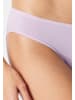 Schiesser Tai Slip Modal Essentials in Mehrfarbig