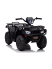 Wisam Lean Cars Kinder-Elektroquad Can-Am Champion 4x4 Schwarz
