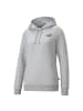 Puma Sweatshirt in Grau