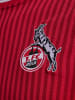 Hummel Hummel T-Shirt 1Fck 23/24 Fußball Erwachsene Schnelltrocknend in TRUE RED