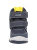 Geox Stiefel in navy/yellow