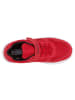 Kappa Sneakers Low 260779K in rot