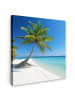 MuchoWow Leinwand bilder Palme (BxH)