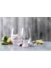 Schott Zwiesel 4er Set Universalbecher Forté 557 ml in transparent