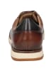 Sioux Sneaker Furatino-702 in cognac