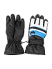 Whistler Skihandschuhe RHETT Ski Gloves in 2008 French Blue