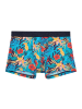 HOM Boxershort 1er Pack in Blau