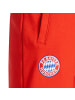 adidas Performance Trainingshose FC Bayern München in rot