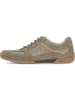 Pius Gabor Schnürschuhe Sneaker low in Grün
