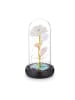 relaxdays Ewige Rose - (H)22 x Ø 11 cm