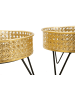 Mauro Ferretti Set mit 2 goldenen Metall-Pflanztöpfen, Ø cm 20,5 x 13 – 18 x 13