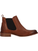 Palado Stiefeletten Tashre in Braun