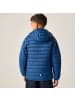 Regatta Marizion Baffle-Jacke / Steppjacke mit Kapuze in Blau