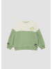 s.Oliver Sweatshirt  in  7253_salbeigrün