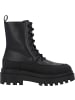 Calvin Klein Stiefeletten in BLACK