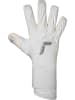 Reusch Torwarthandschuhe Raptor Pro in 1103 white/silver