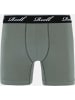 Reell Boxershort "Trunks Boxershort" in Grün