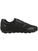 Geox Sneaker low U Snake 2.0 C in schwarz