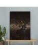 MuchoWow Leinwand bilder Hirsch (BxH)