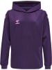 Hummel Hummel Verstellbare Taille Hoodie Hmlcore Multisport Kinder in ACAI