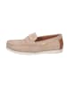 Camel Active Schnürschuh in taupe