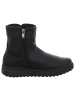 Andrea Conti Klassische Stiefelette in schwarz