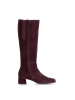 Gabor Elegante Stiefel in lila