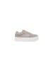 CALVIN KLEIN JEANS Sneaker Beige