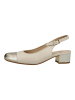 ara Pumps in Beige